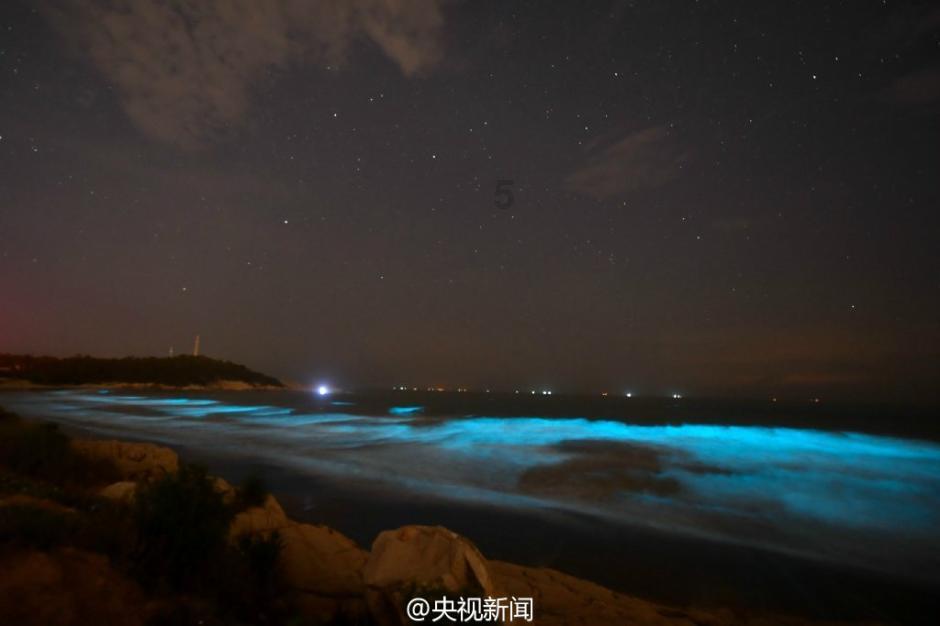 豆娃踢足球